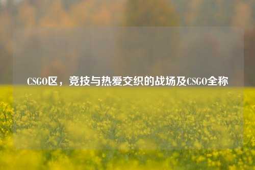 CSGO区，竞技与热爱交织的战场及CSGO全称