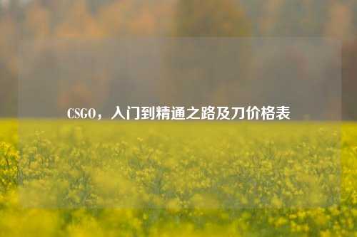 CSGO，入门到精通之路及刀价格表