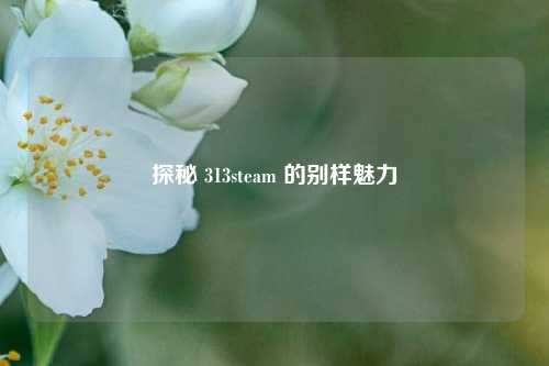 探秘 313steam 的别样魅力