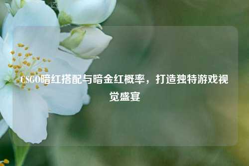 CSGO暗红搭配与暗金红概率，打造独特游戏视觉盛宴