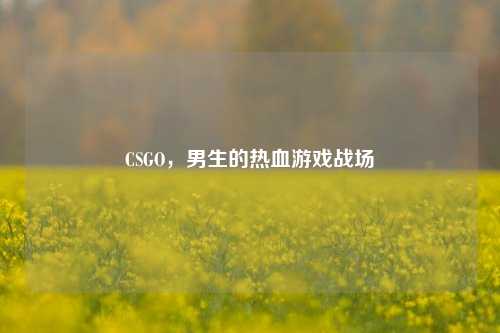 CSGO，男生的热血游戏战场