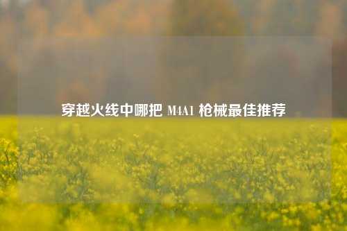 穿越火线中哪把 M4A1 枪械最佳推荐