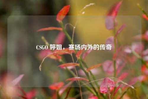 CSGO 婷姐，赛场内外的传奇