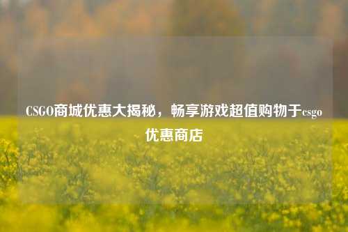 CSGO商城优惠大揭秘，畅享游戏超值购物于csgo优惠商店