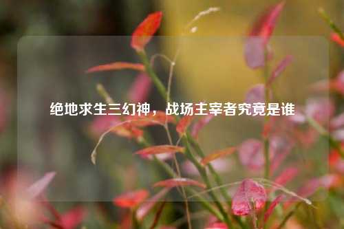 绝地求生三幻神，战场主宰者究竟是谁