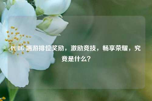 PUBG 端游排位奖励，激励竞技，畅享荣耀，究竟是什么？