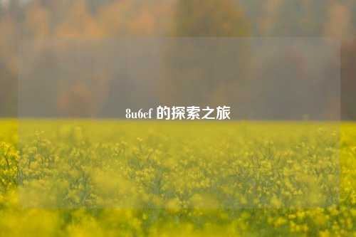 8u6cf 的探索之旅