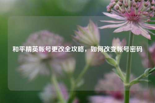 和平精英帐号更改全攻略，如何改变帐号密码