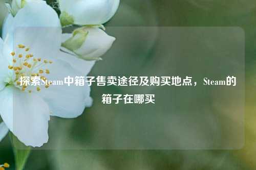 探索Steam中箱子售卖途径及购买地点，Steam的箱子在哪买
