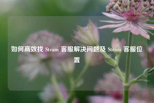 如何高效找 Steam 客服解决问题及 Steam 客服位置