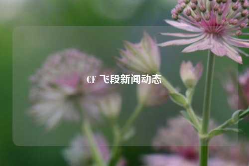 CF 飞段新闻动态