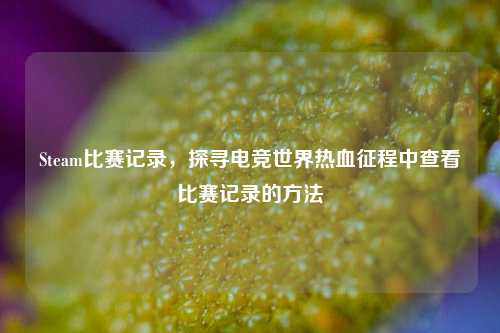 Steam比赛记录，探寻电竞世界热血征程中查看比赛记录的方法