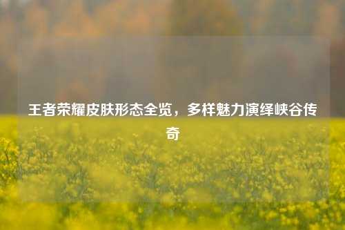 王者荣耀皮肤形态全览，多样魅力演绎峡谷传奇