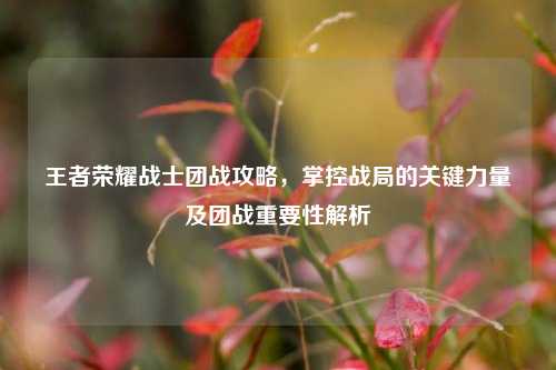 王者荣耀战士团战攻略，掌控战局的关键力量及团战重要性解析
