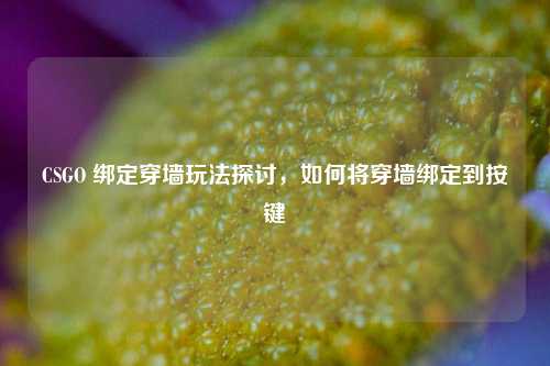 CSGO 绑定穿墙玩法探讨，如何将穿墙绑定到按键