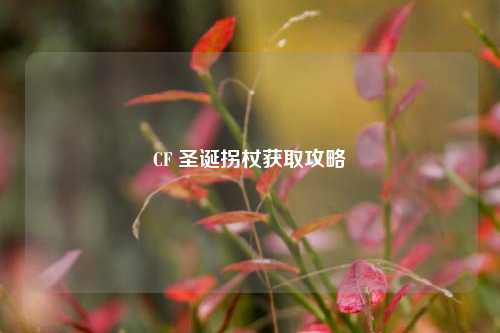 CF 圣诞拐杖获取攻略