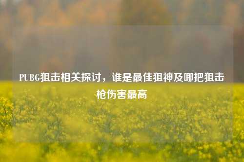 PUBG狙击相关探讨，谁是最佳狙神及哪把狙击枪伤害最高