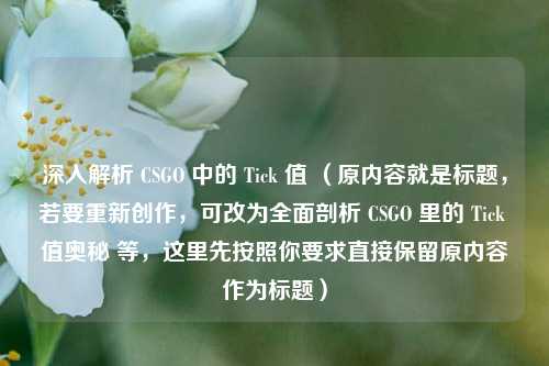 深入解析 CSGO 中的 Tick 值 （原内容就是标题，若要重新创作，可改为全面剖析 CSGO 里的 Tick 值奥秘 等，这里先按照你要求直接保留原内容作为标题）