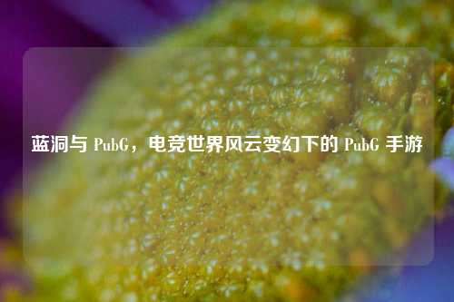 蓝洞与 PubG，电竞世界风云变幻下的 PubG 手游
