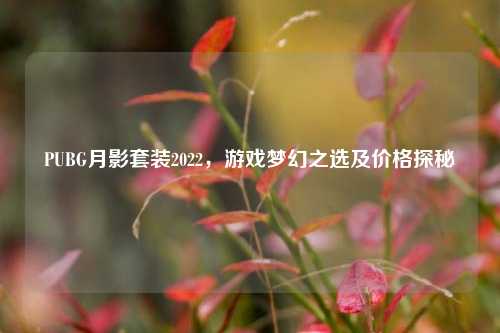 PUBG月影套装2022，游戏梦幻之选及价格探秘