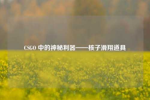 CSGO 中的神秘利器——核子滑翔道具