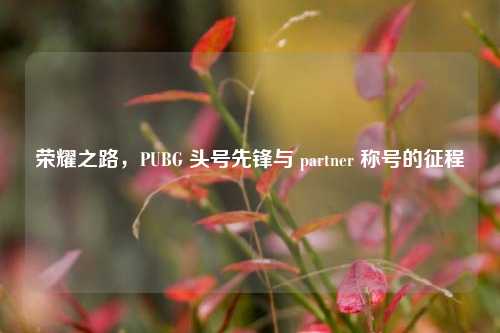 荣耀之路，PUBG 头号先锋与 partner 称号的征程