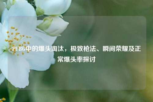 PUBG中的爆头淘汰，极致枪法、瞬间荣耀及正常爆头率探讨