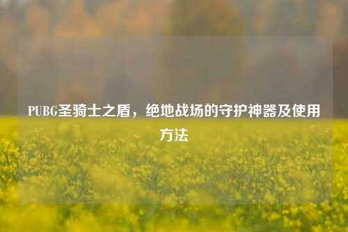 PUBG圣骑士之盾，绝地战场的守护神器及使用方法