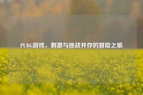 PUBG游戏，刺激与挑战并存的冒险之旅