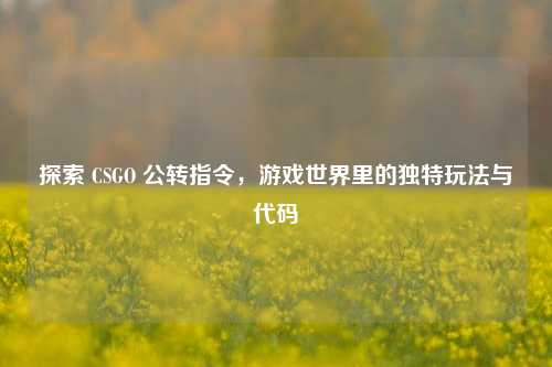 探索 CSGO 公转指令，游戏世界里的独特玩法与代码