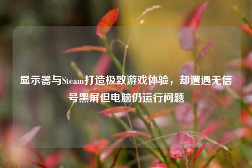 显示器与Steam打造极致游戏体验,却遭遇无信号黑屏但电脑仍运行问题