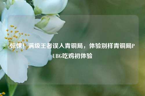 惊悚！满级王者误入青铜局，体验别样青铜局PUBG吃鸡初体验
