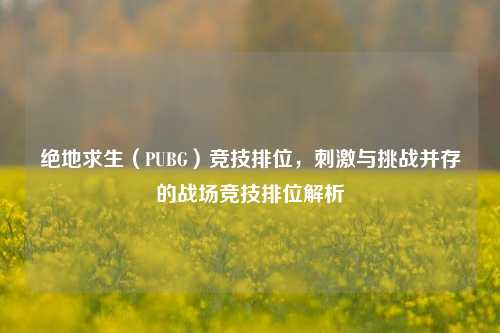 绝地求生(PUBG)竞技排位,刺激与挑战并存的战场竞技排位解析