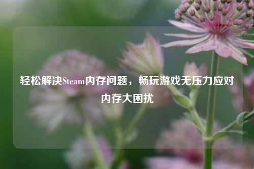 轻松解决Steam内存问题,畅玩游戏无压力应对内存大困扰