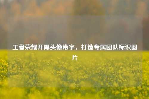 王者荣耀开黑头像带字，打造专属团队标识图片