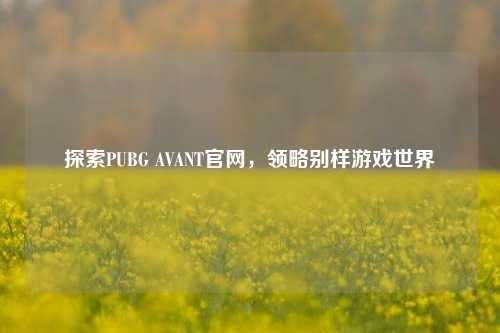 探索PUBG AVANT官网，领略别样游戏世界