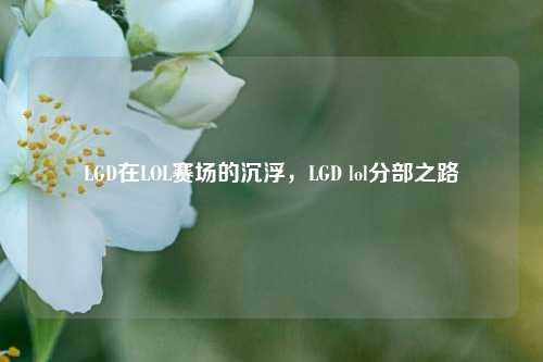 LGD在LOL赛场的沉浮，LGD lol分部之路