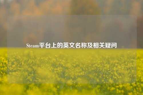 Steam平台上的英文名称及相关疑问