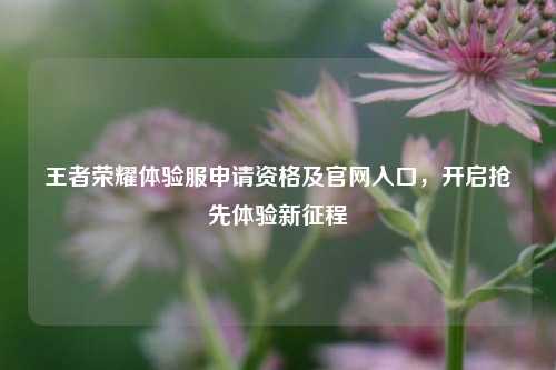 王者荣耀体验服申请资格及官网入口，开启抢先体验新征程