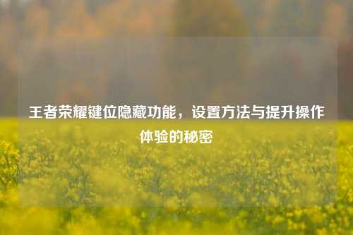 王者荣耀键位隐藏功能,设置方法与提升操作体验的秘密