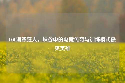 LOL训练狂人，峡谷中的电竞传奇与训练模式最爽英雄