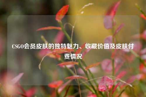 CSGO会员皮肤的独特魅力、收藏价值及皮肤付费情况