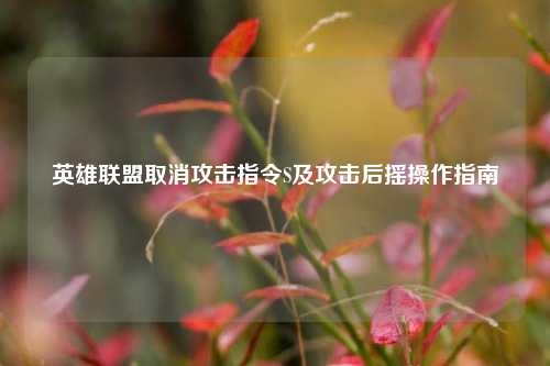 英雄联盟取消攻击指令S及攻击后摇操作指南