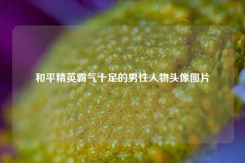 和平精英霸气十足的男性人物头像图片