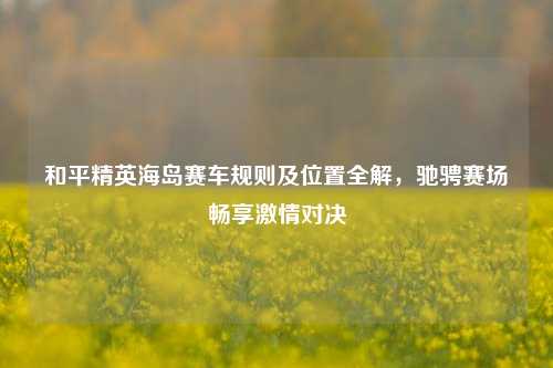 和平精英海岛赛车规则及位置全解，驰骋赛场畅享激情对决