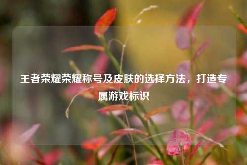 王者荣耀荣耀称号及皮肤的选择方法，打造专属游戏标识