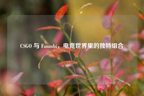 CSGO 与 Fanzobi，电竞世界里的独特组合