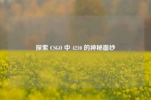 探索 CSGO 中 4210 的神秘面纱