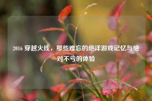 2016 穿越火线，那些难忘的绝洋游戏记忆与绝对不亏的体验