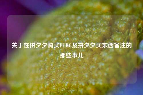 关于在拼夕夕购买PUBG及拼夕夕买东西备注的那些事儿
